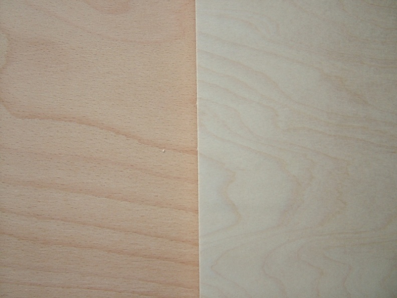 Buche-Birke MPX - B.jpg